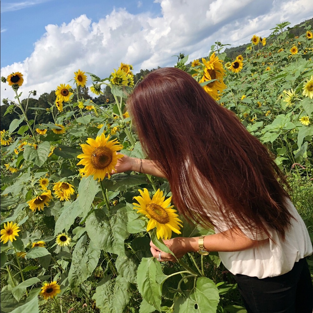 Meet your Posher, Santa